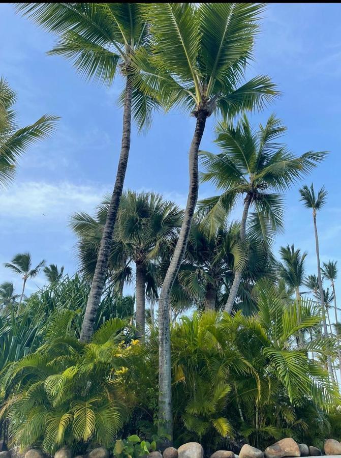 Yonah Comfort Punta Cana, Shared Apartment المظهر الخارجي الصورة